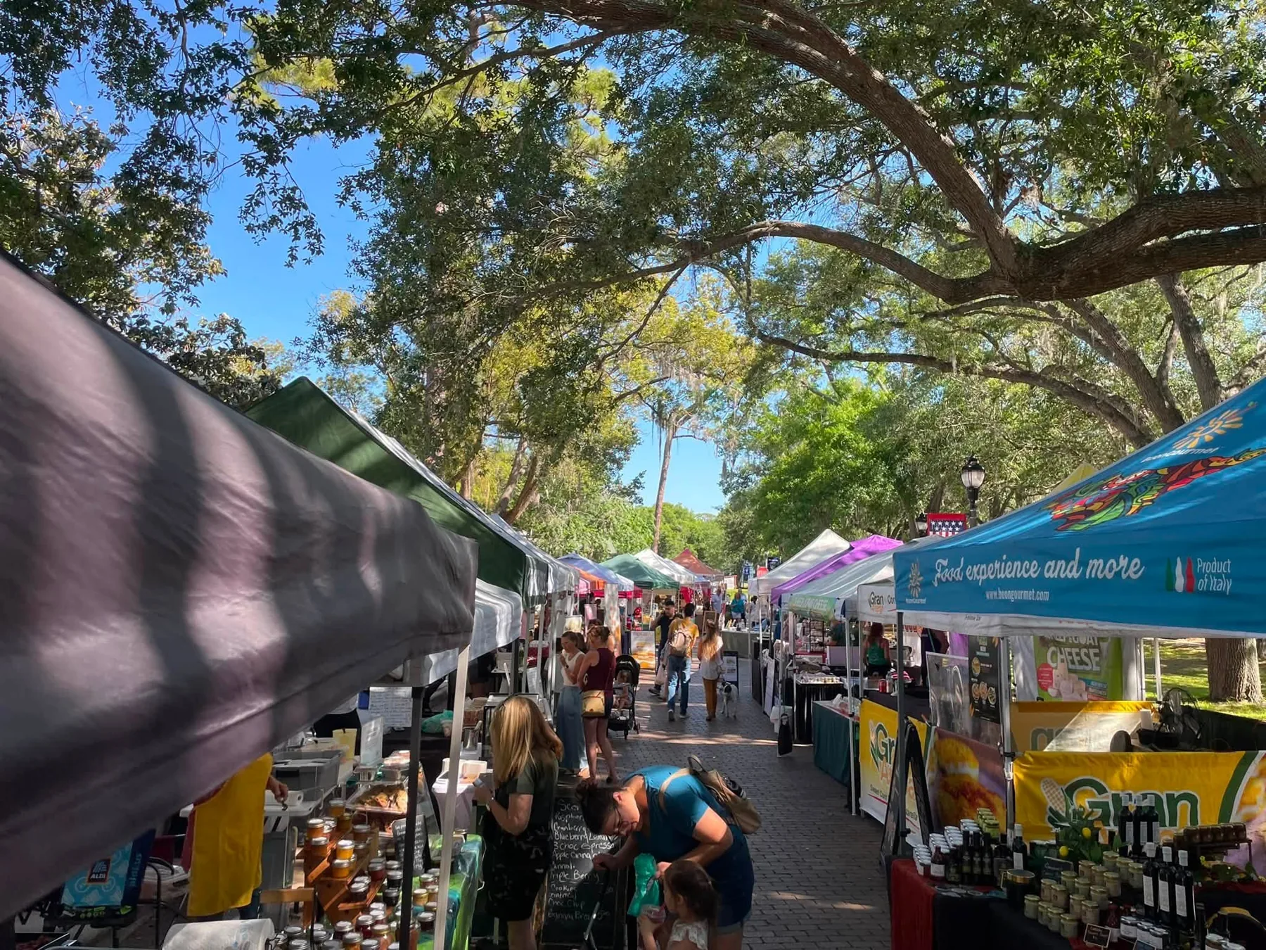 Vendor tents under the oaks at the Windermere Farmers Market